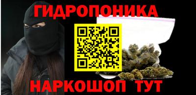 гашик Бузулук